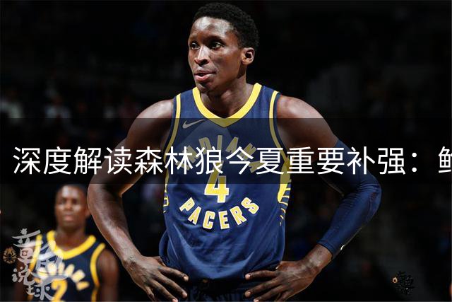 深度解读森林狼今夏重要补强：鲍尔与海兰德战术价值分析